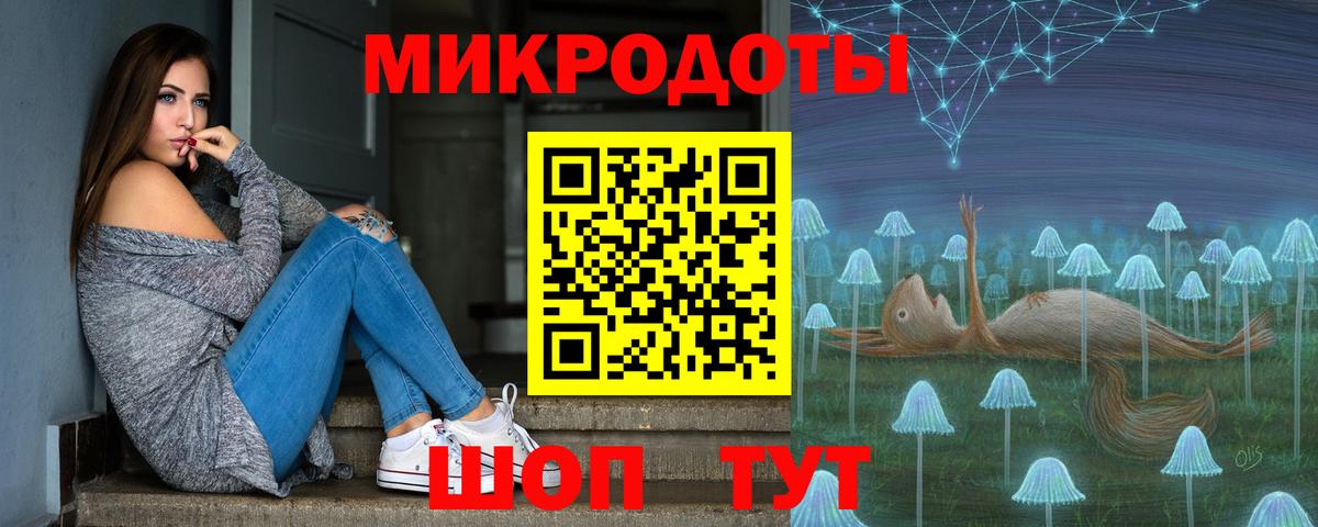 Галлюциногенные грибы Psilocybine cubensis Гусиноозёрск